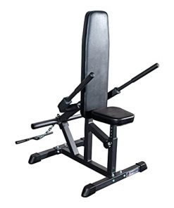 Titan Fitness Plate Loadable Seated Dip Machine Arms Triceps Biceps