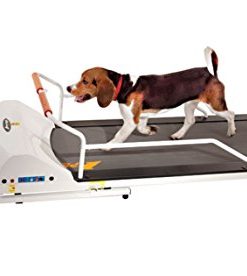 GOPET PetRun PR720F Dog Treadmill Indoor Exercise/Fitness Kit