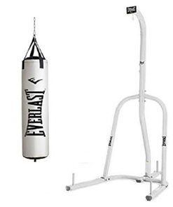 Everlast Single Station Heavy Bag Stand with a 70-lb. Heavy Bag Kit