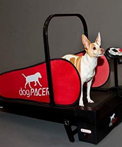 dogPACER MiniPACER Treadmill