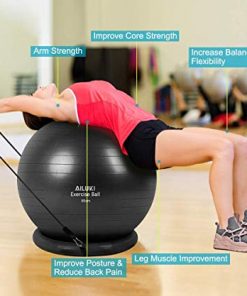 Yoga Ball, 65cm Exercise Ball Fitness Balls Stability Ball Anti-Slip & Anti- Burst for Yoga,Pilates, Birthing, Balance & Fitness with Workout Guide & Quick Pump