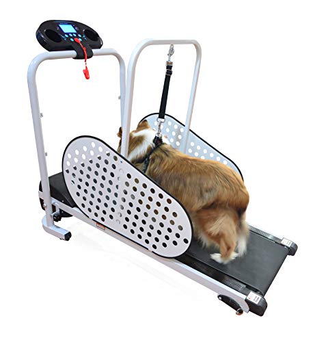SHELANDY Pet Treadmill | Smart and Motorized Treadmill for Small & Medium Dogs