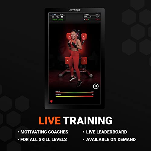 Nexersys N3 Elite Personal Boxing Trainer and Sparring Partner