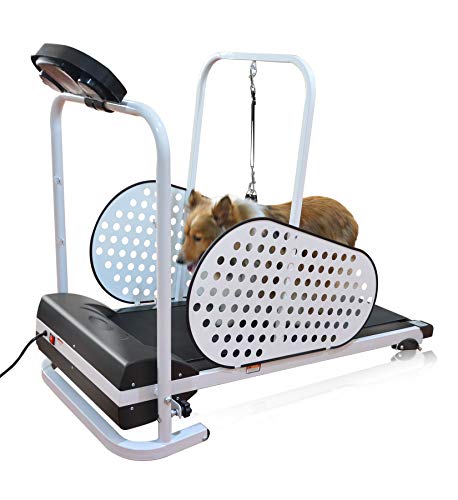 SHELANDY Pet Treadmill | Smart and Motorized Treadmill for Small & Medium Dogs