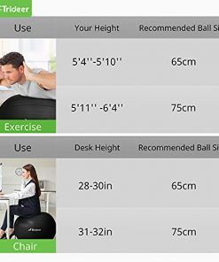 Trideer Ball Chair Yoga Ball Chair Exercise Ball Chair with Base for Home Office Desk, Stability Ball & Balance Ball Seat to Relieve Back Pain, Home Gym Workout Ball for Abs, Pregnancy Ball with Pump