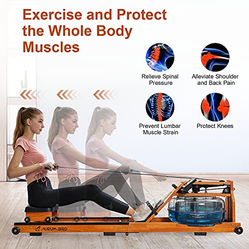 AURUMBIRD Water Folding Rowing Machine,Wooden Water Resistance Rowing Machine for Home Gyms Use with LED Moniter, Full-Body Workout Machine